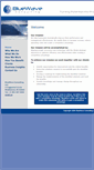 Mobile Screenshot of bluewaveconsult.com